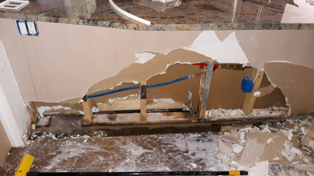 Best Water damage contractors near me  in Mountain City, TN