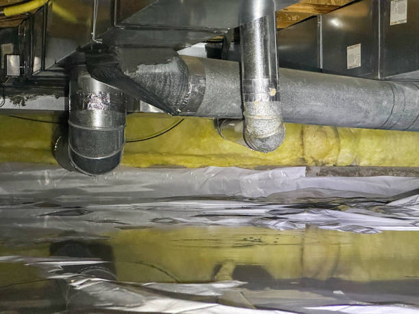 Best Basement water damage restoration  in Mountain City, TN