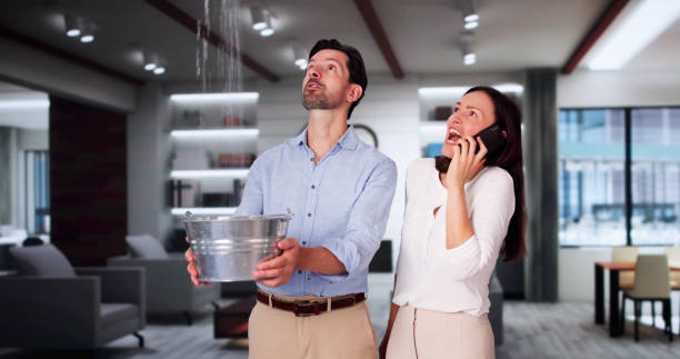Best Sewage cleanup and water damage restoration  in Mountain City, TN